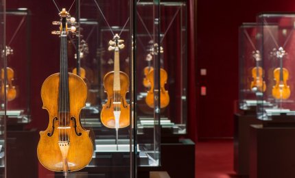 Alla ricerca del violino perfetto