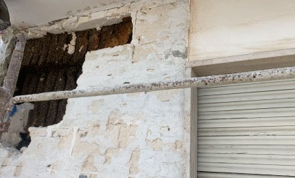 A Galatina un alveare fra le crepe di un muro