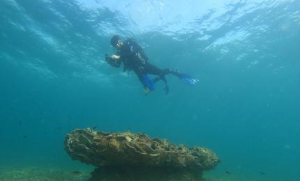 Sott'acqua a Porto Cesareo la storia del Mediterraneo