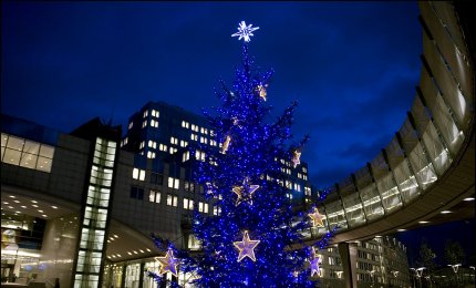 L'albero di Natale? Lo facciamo in Europa. La scuola primaria 'Lecciso' di Galatina fra le prescelte
