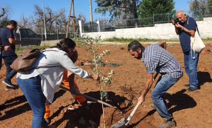 &quot;Adottiamo un Ulivo!&quot; compie due anni ed è già un successo
