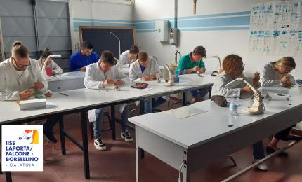 Abilitati alla professione 16 nuovi odontotecnici del &quot;Laporta / Falcone e Borsellino&quot; di Galatina