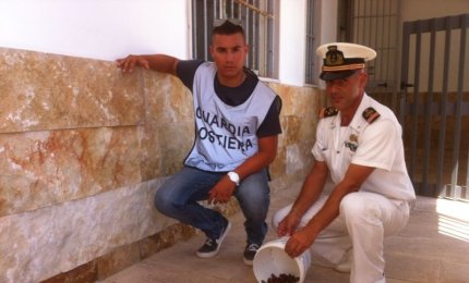 Detenevano una 'cozza penna' e un chilogrammo di datteri. Denunciati