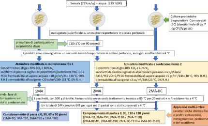 Un nuovo procedimento di conservazione della pasta fresca