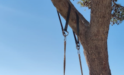 &quot;Dal bello che mi circonda&quot;