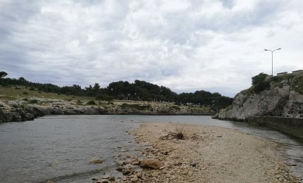 &quot;Coste e mari pugliesi tra biodiversità naturale e ricchezza regionale&quot;