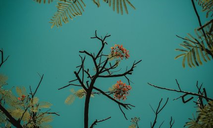 La scomparsa di Piero Di Prizio