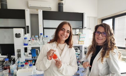 A Lecce due ricerche per valorizzare i gusci di gamberi e quelli dei mitili mediterranei