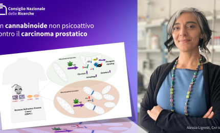 Un componente non-psicoattivo della Cannabis (CBD) per combattere il carcinoma alla prostata