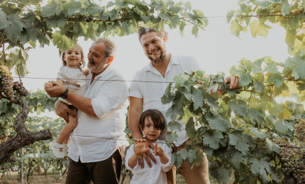 Vinicola Palamà, la degustazione delle nuove annate e tre masterclass