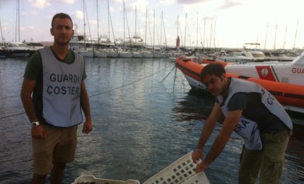 Quattromila euro di multa per aver raccolto 700 ricci di mare
