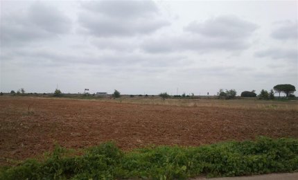 Megaparco, "È questa la vera Contrada Cascioni"