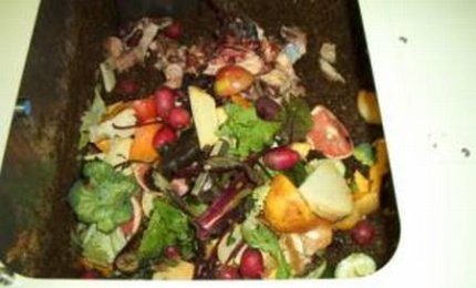 L'umido delle botteghe artigiane alimentari verrà ritirato tutti i giorni. L'accordo raggiunto dopo un incontro a Palazzo Orsini