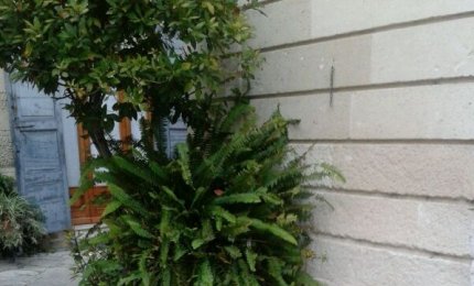 Sparita la panchina di 'Luis', scherzo o inciviltà?