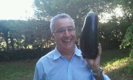 Una melanzana gigante nell'orto del geometra