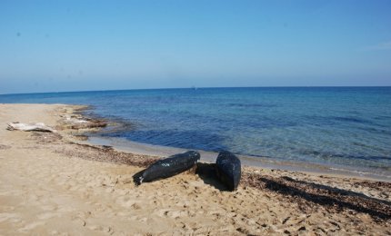La marijuana viaggia in acquascooter, oltre tre quintali e mezzo recuperati a Torre Veneri