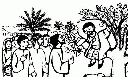  «Zaccheo, scendi subito, perché oggi devo fermarmi a casa tua»