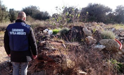Sequestrato dai carabinieri del Noe un terreno a Maglie