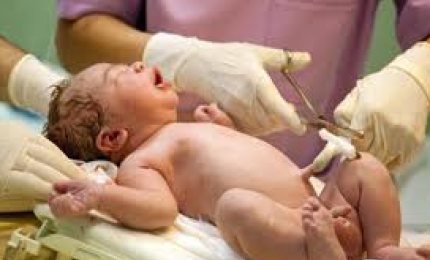 E' anche galatinese il miglior progetto di donazione del cordone ombelicale