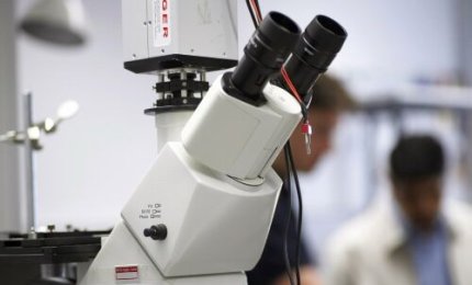 Caratterizzata l’alterazione del metabolismo della sclerosi multipla