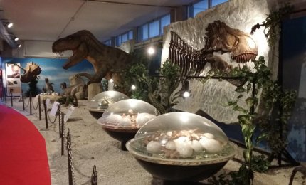Ultimo giorno per "Creatures Studios - Emozioni dal cinema"