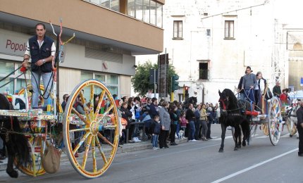'Non erano maniere forti ma esercizi di dressage'