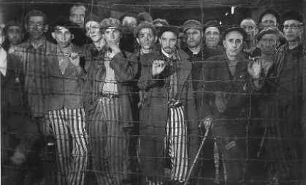 'Il Trauma. Da Freud alla Shoah'