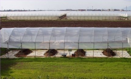 Galatina ospiti un impianto di compostaggio, la Regione è pronta a finanziarlo