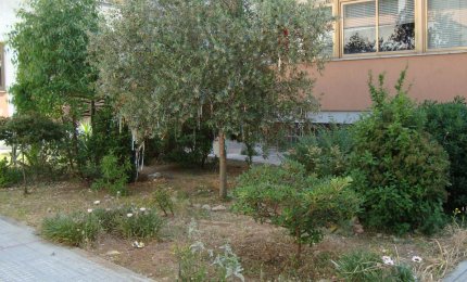 'Immigrazione e diritti dei Minori', un incontro alla Scuola Media di Noha