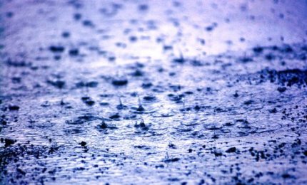 Gennaio è stato 'caldo' e piovoso