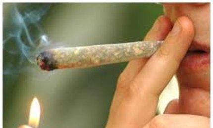 È la cannabis, dopo l'alcol, la sostanza più diffusa in Italia e in Europa