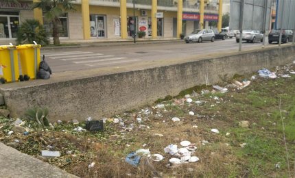 I cassonetti discarica e i rovi di via Caduti di Nassiriya