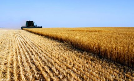 Il Comune di Galatina ha lo ' Sportello agricoltura'