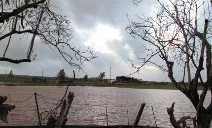 Con febbraio finisce un anomalo inverno
