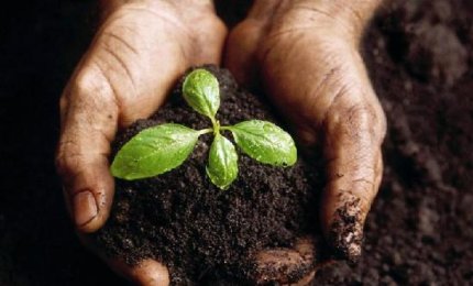 "Impianto di compostaggio. Montagna risponda alle nostre domande"