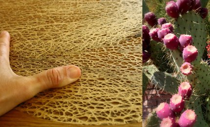 Ad hAbitapulia due aziende di imprenditori galatinesi