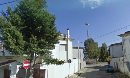 "Alberi sui marciapiedi, riparare agli errori del passato'