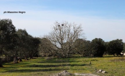 Trekking nei dintorni di Galatina
