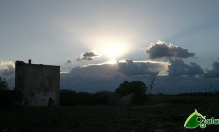 "Educare alla custodia del creato per sanare le ferite della terra"