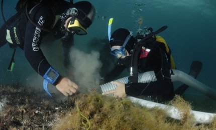 'Un futuro per il passato', l'archeologia subacquea e l'archeobotanica nel Salento