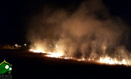 Ordinanza del Sindaco contro il pericolo di incendio in città
