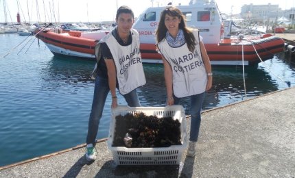 700 ricci costano ad un pescatore 4000 euro di multa