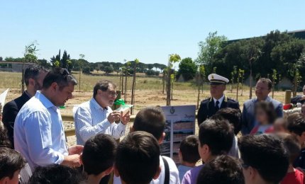Cento alberi dove c'era una discarica di amianto
