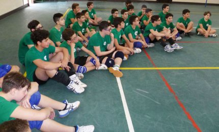 Le attività di fine stagione della Showy boys