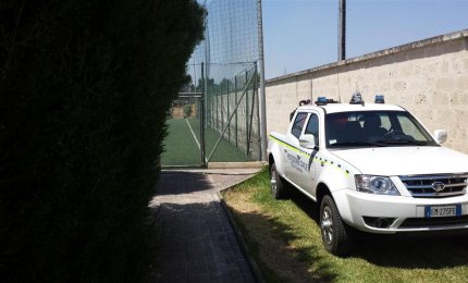Pomeriggio di fuoco a Noha, superlavoro per la Protezione civile