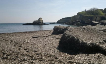 Compost dalla posidonia, autorizzato un impianto ad Arnesano