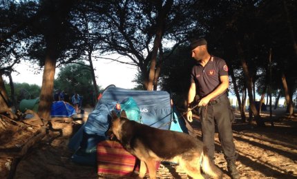 Marijuana nel campeggio abusivo, multe e denunce