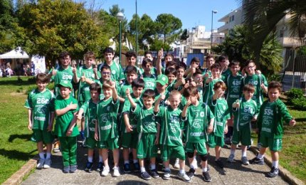 La Showy Boys apre le iscrizioni ai corsi di minivolley e pallavolo