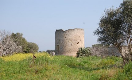 Nel Parco di Rauccio alla scoperta delle erbe officinali