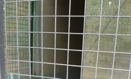Cerca qualcuno a cui affezionarsi